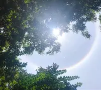 关于琂?E朞轷?;涏-金年会体育